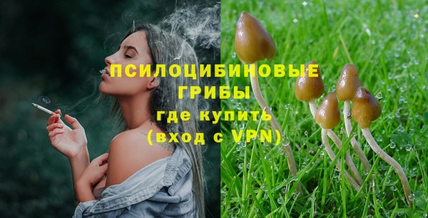 спиды Алзамай