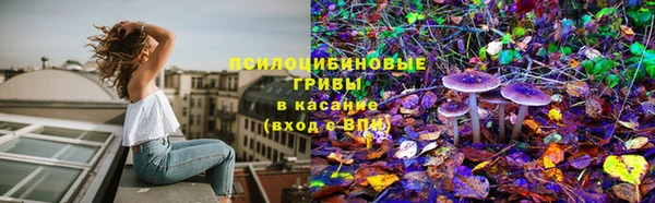 эйфоретик Алексеевка