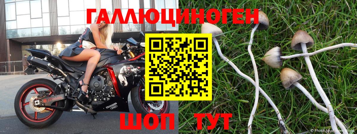Галлюциногенные грибы мухоморы Углич