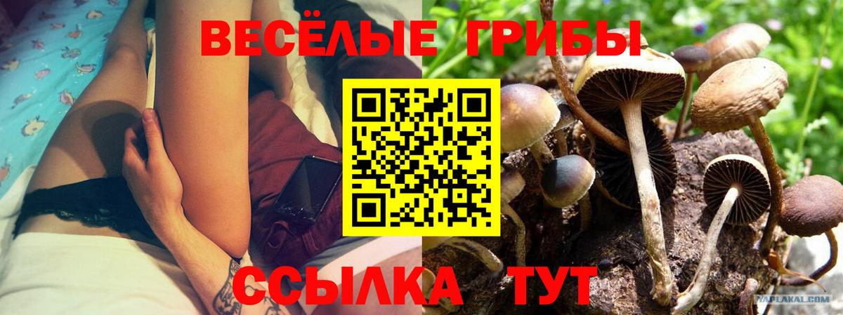 Псилоцибиновые грибы MAGIC MUSHROOMS  Вход с VPN  Галлюциногенные грибы мухоморы  купить наркотики цена  Углич 